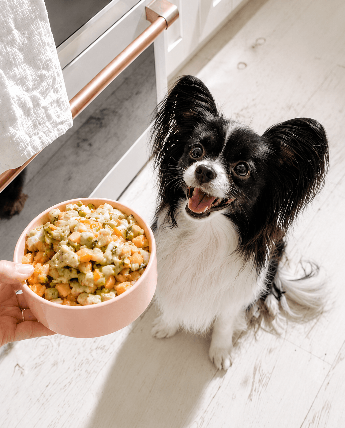 Real food your dog will actually finish.